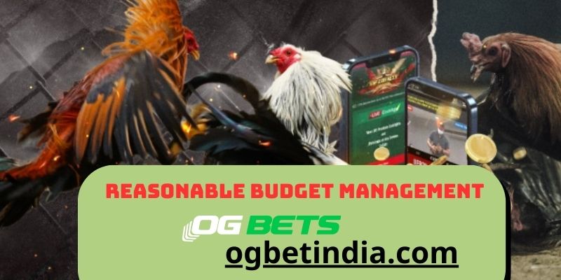 Reasonable Budget Management